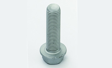 Flange screw